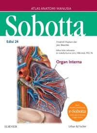 Image of ATLAS ANATOMI MANUSIA Sobotta